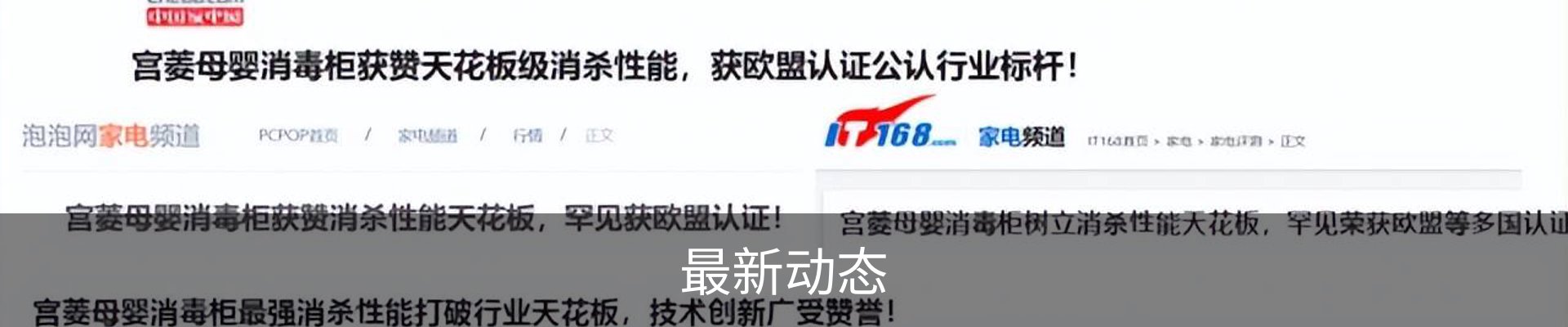最新动态